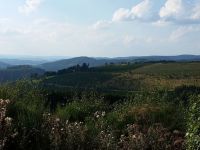 Sauerland_2016_08.jpg